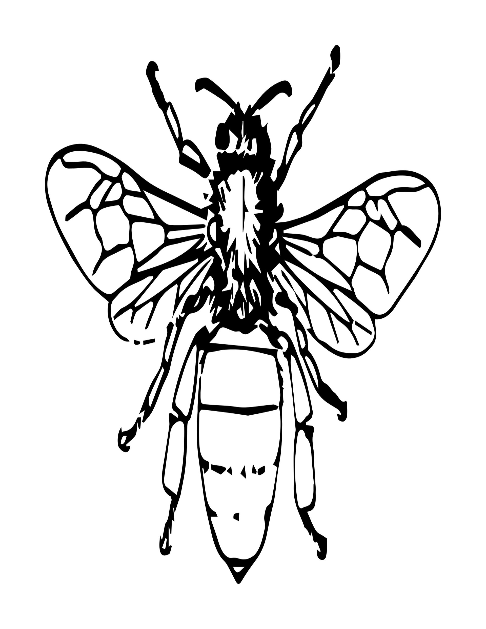 Bugs Aren't Icky Coloring Book for Early Grades product image (5)
