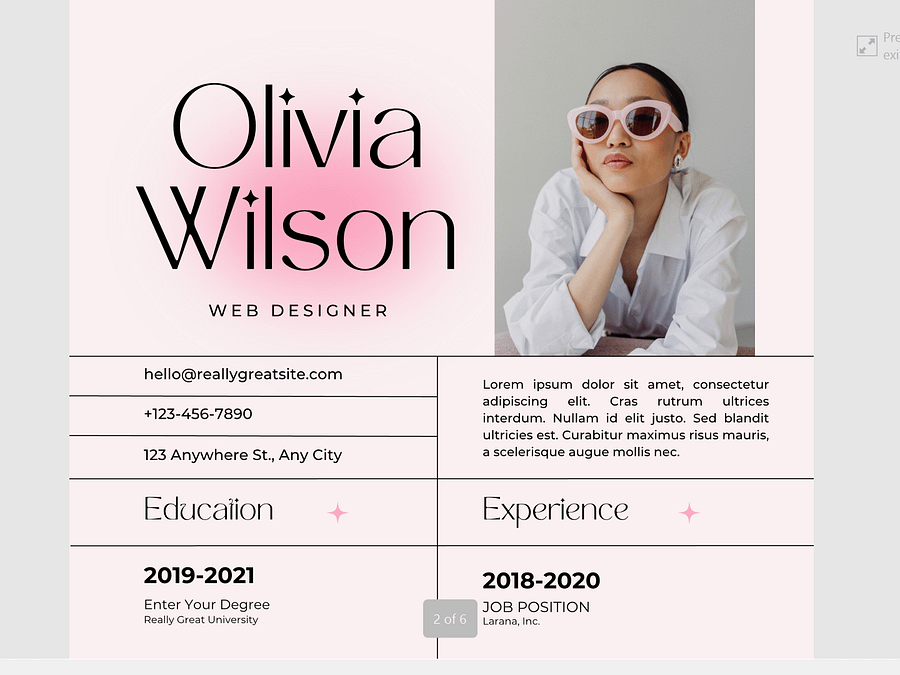 5 CV Templates in PDF Format product image (6)
