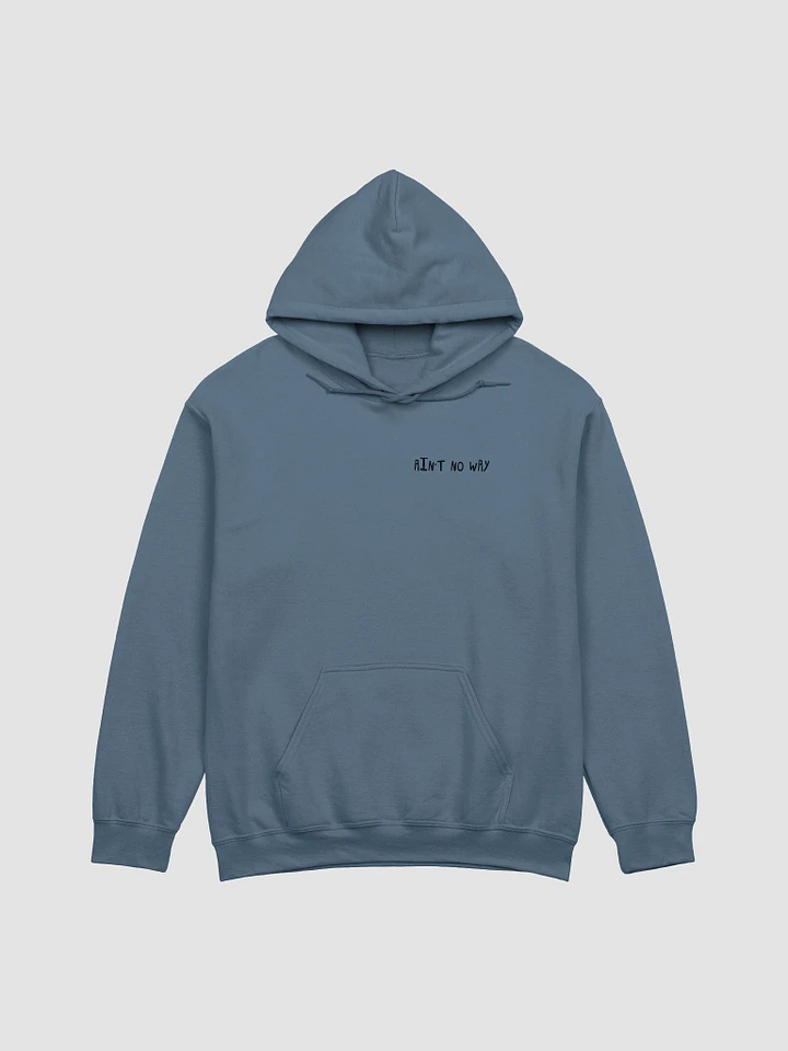 Ain't No Way Hoodie product image (6)