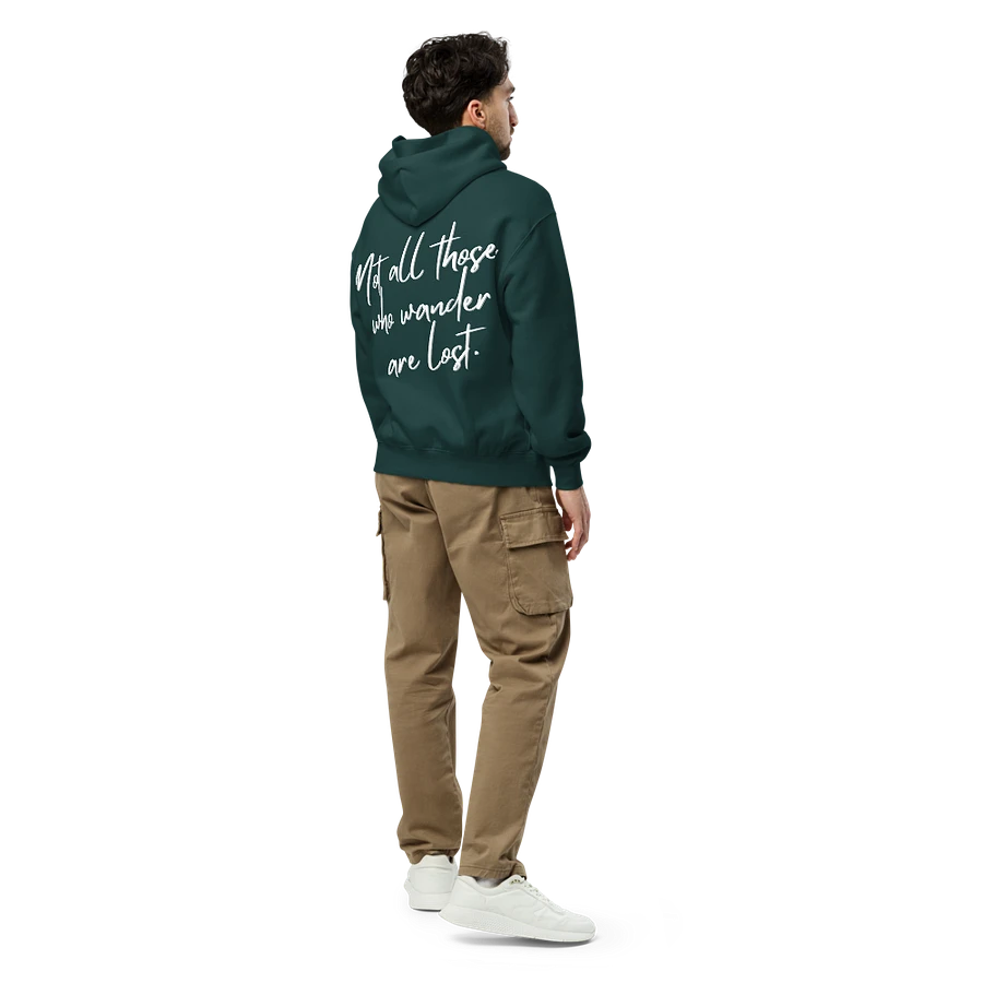 Not All Those Who Wander Are Lost Hoodie product image (4)