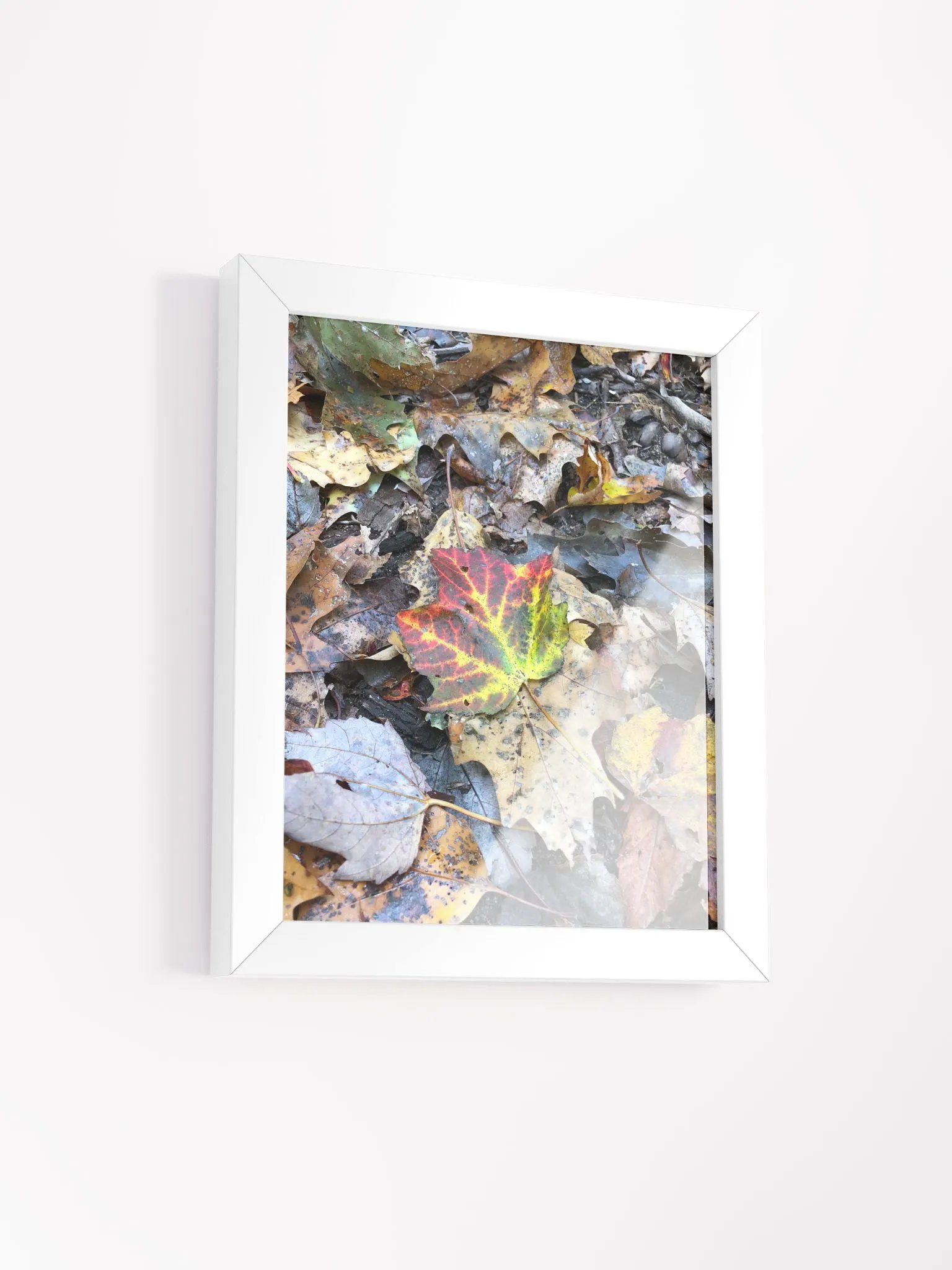 Natural Fall Leaf High Quality Matte Poster product image (2)