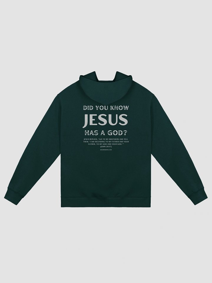 Jesus Has a God Premium Oversized Hoodie product image (2)