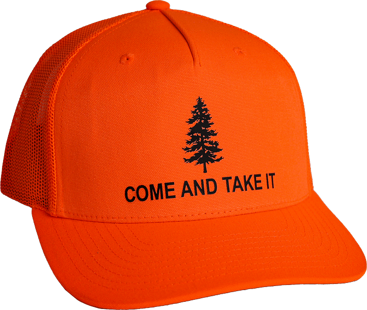 CATI Hat product image (1)