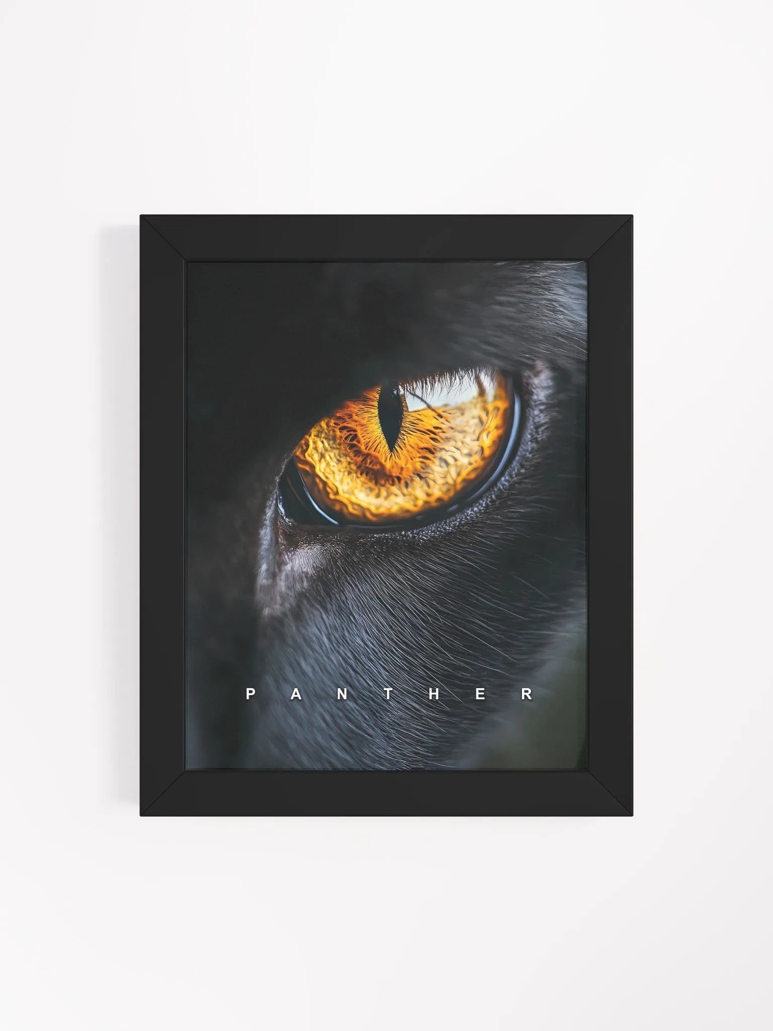 Panther's Eye Matte Poster product image (4)