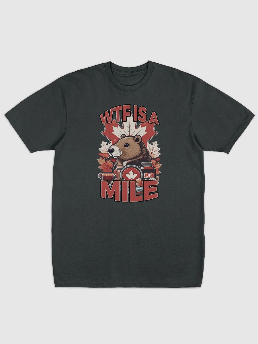 WTF is a Mile product image (1)