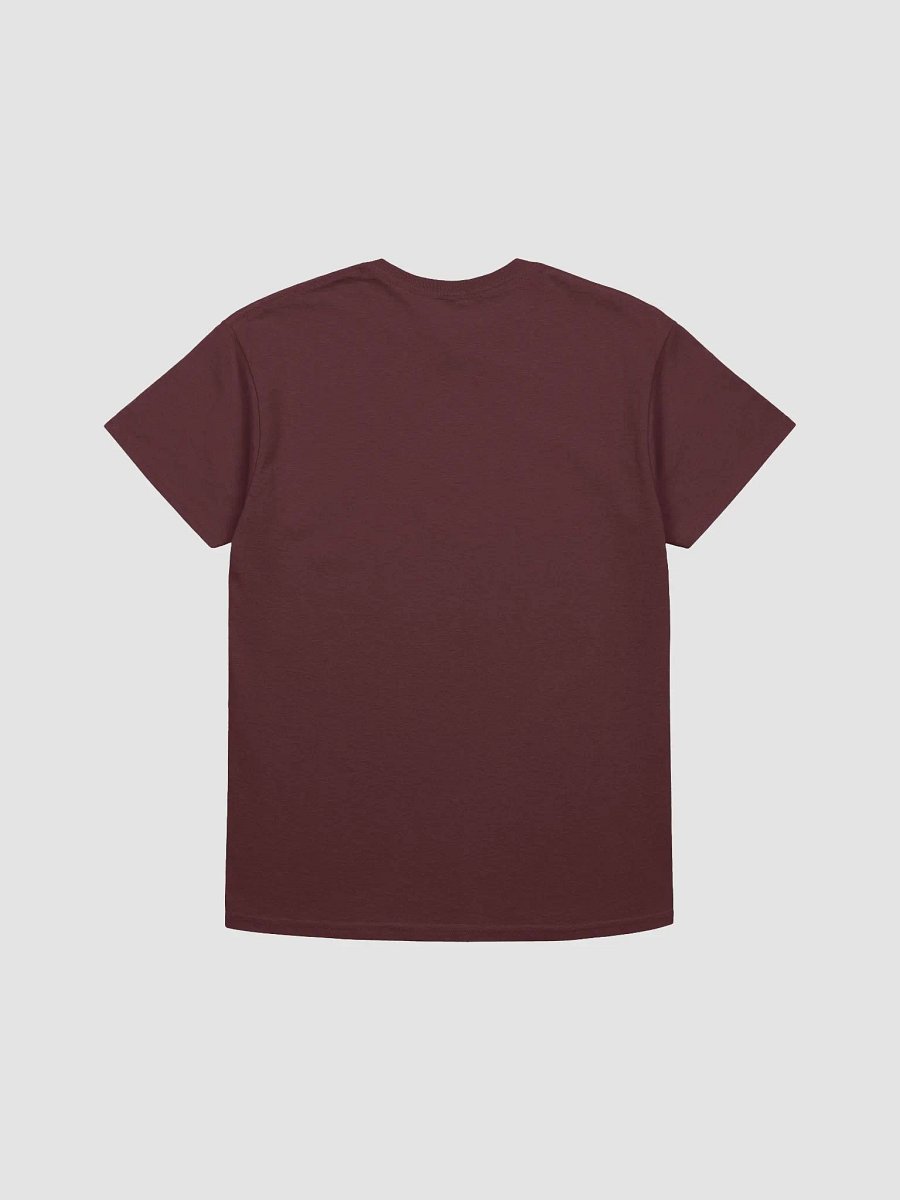 Paladin Class t-shirt product image (2)