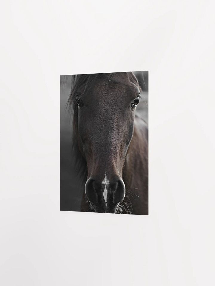 Soulful horse Gaze Poster product image (2)