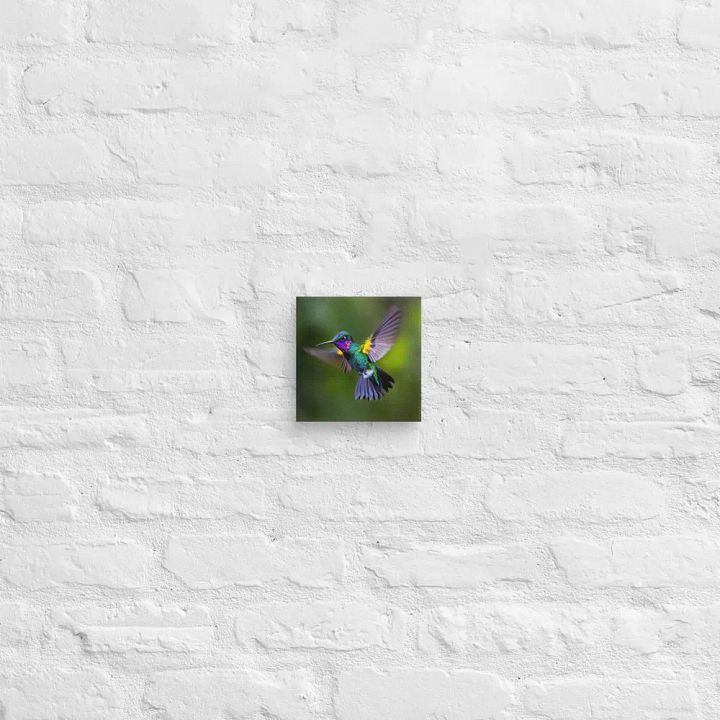 Iridescent Flight Canvas product image (27)
