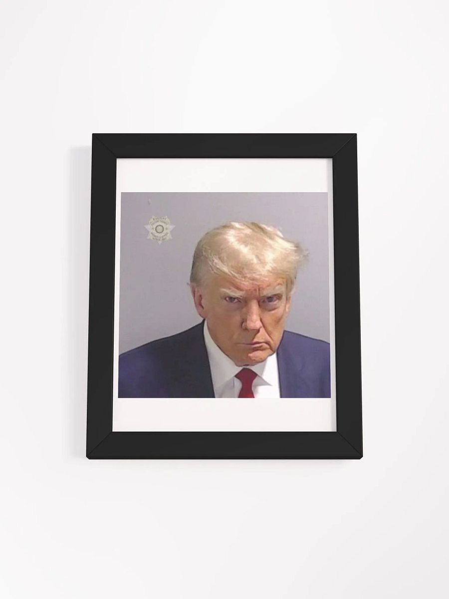 Framed FAFO Mugshot product image (5)