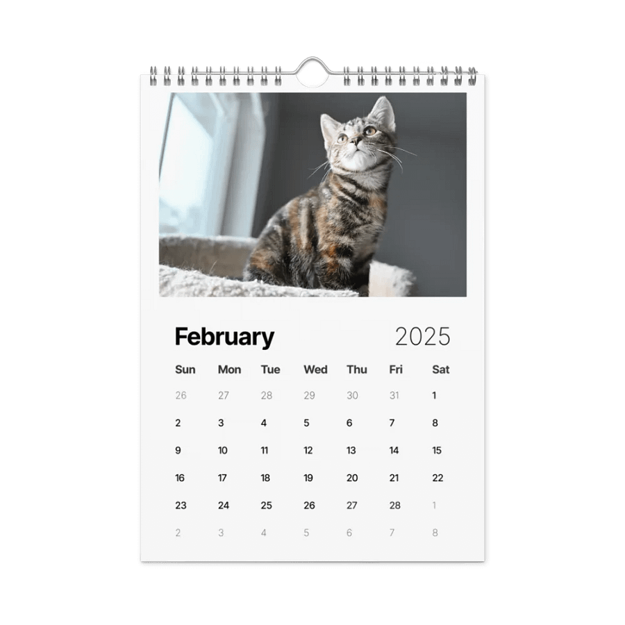 Noah and Friends 2025 Calendar product image (5)