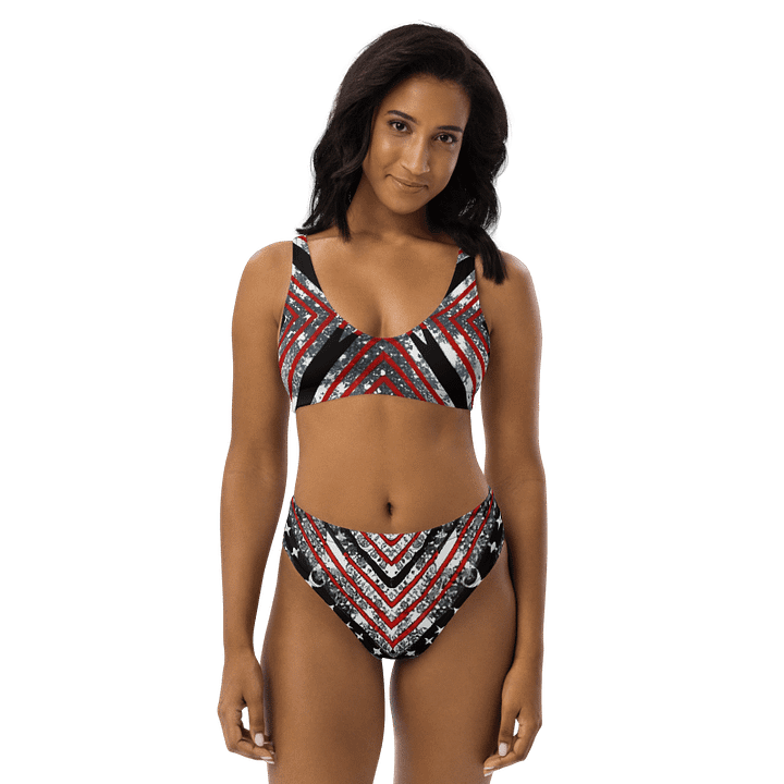Black/Silver and Stripes Bikini product image (1)