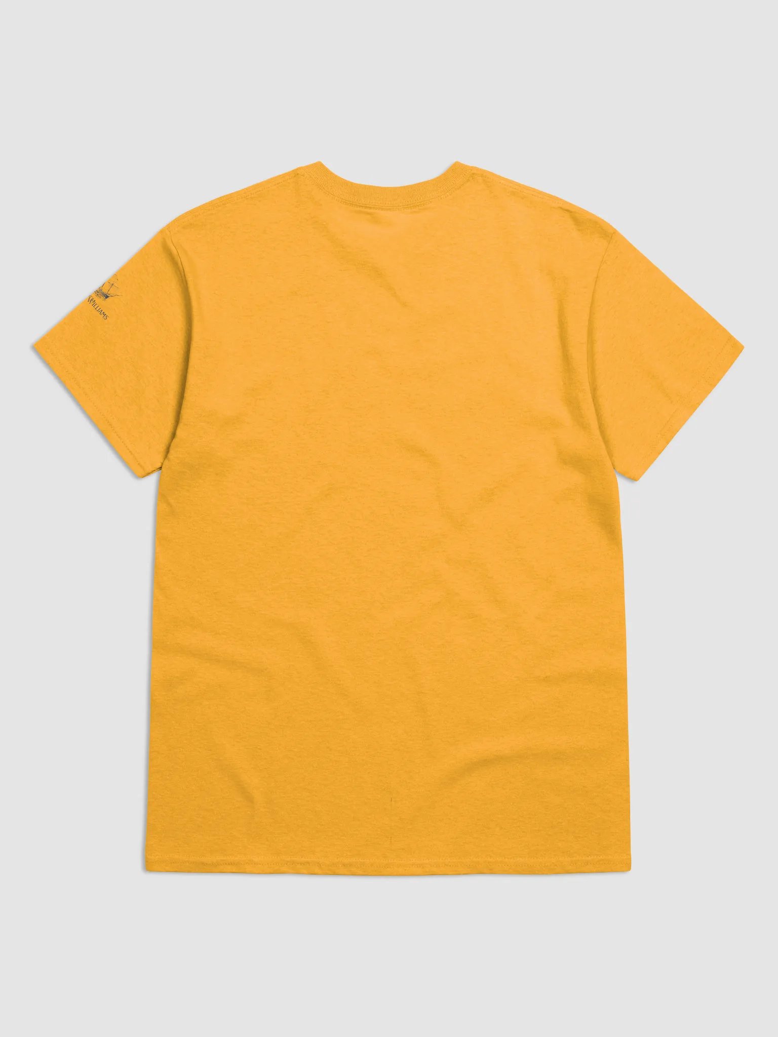 Crypto Millionaire T-Shirt product image (2)