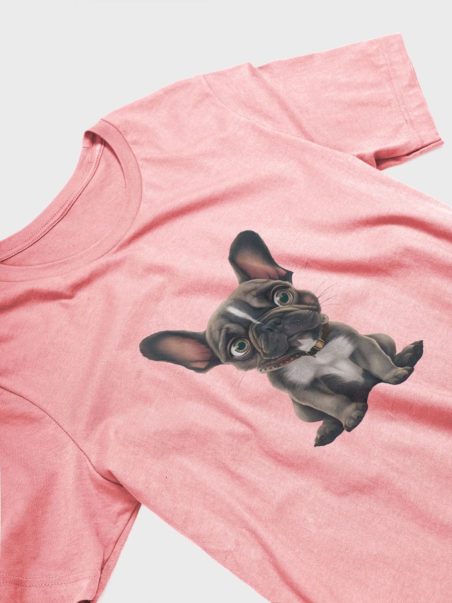 French Bulldog puppy product image (4)