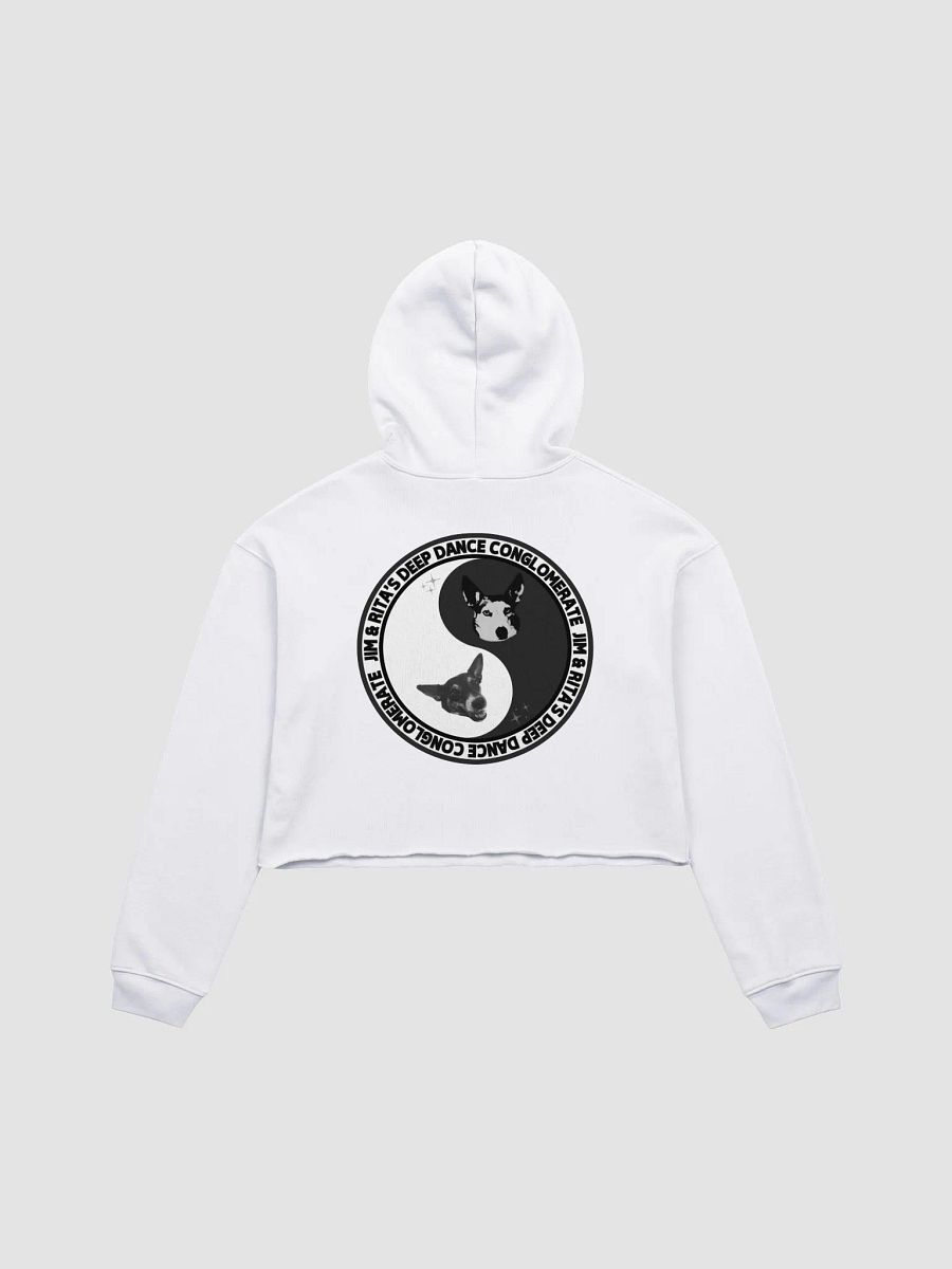 JRDDC SUMMR CROP HOODIE product image (2)