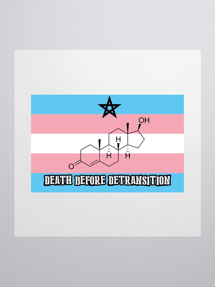 Death Before Detransition (testosterone, sticker edition) product image (1)
