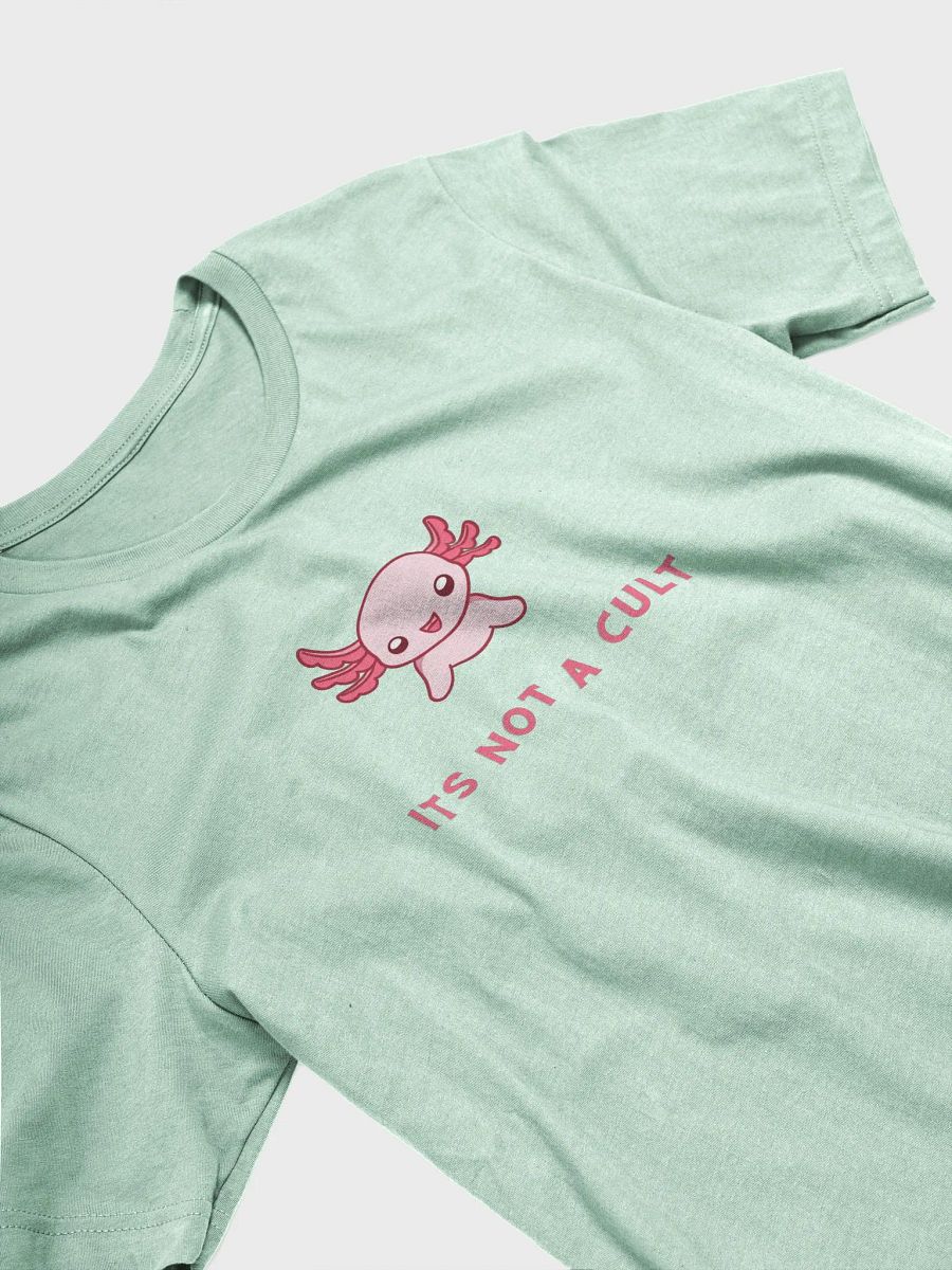NOT A CULT Soft Tshirt product image (11)