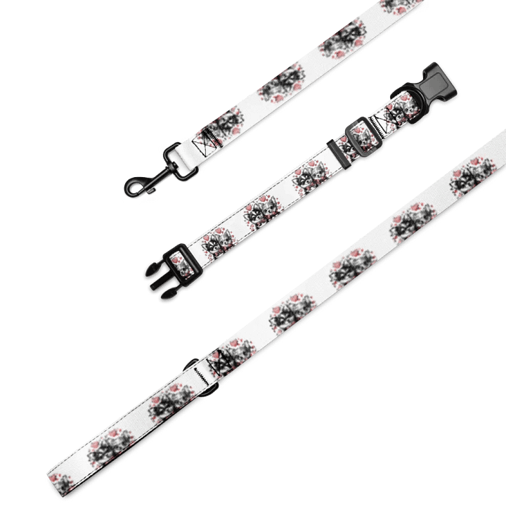 Vibrant Lines Pet Collar & Leash Set product image (4)