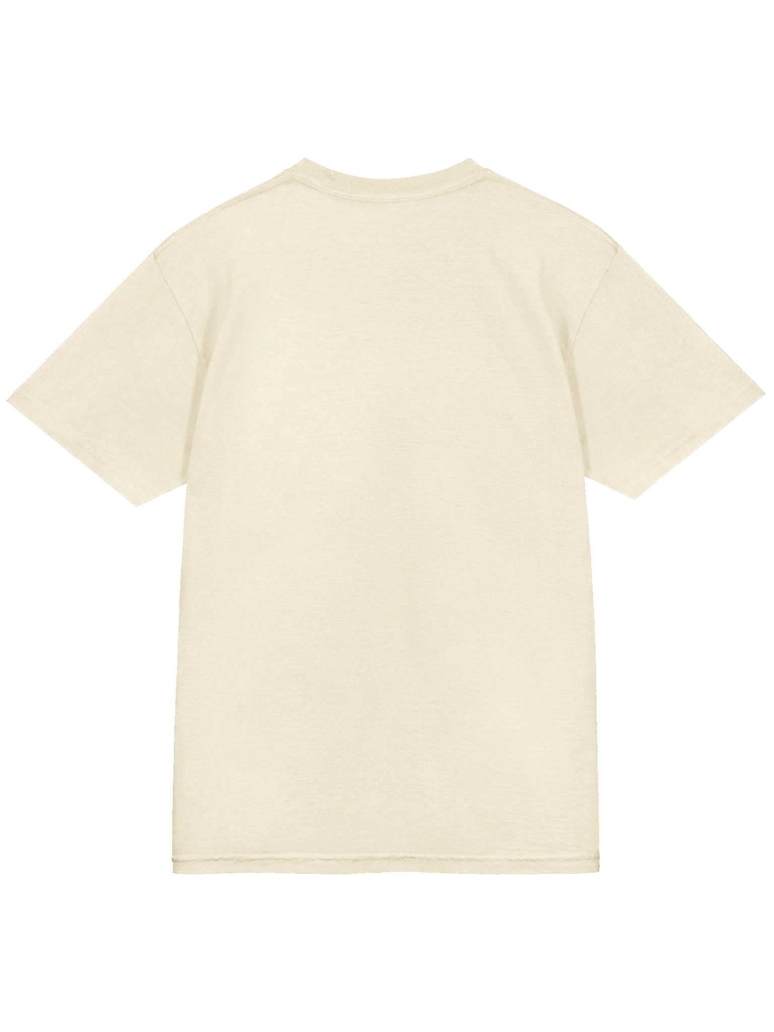 THE PAINTER - LIGHT PRINT product image (12)