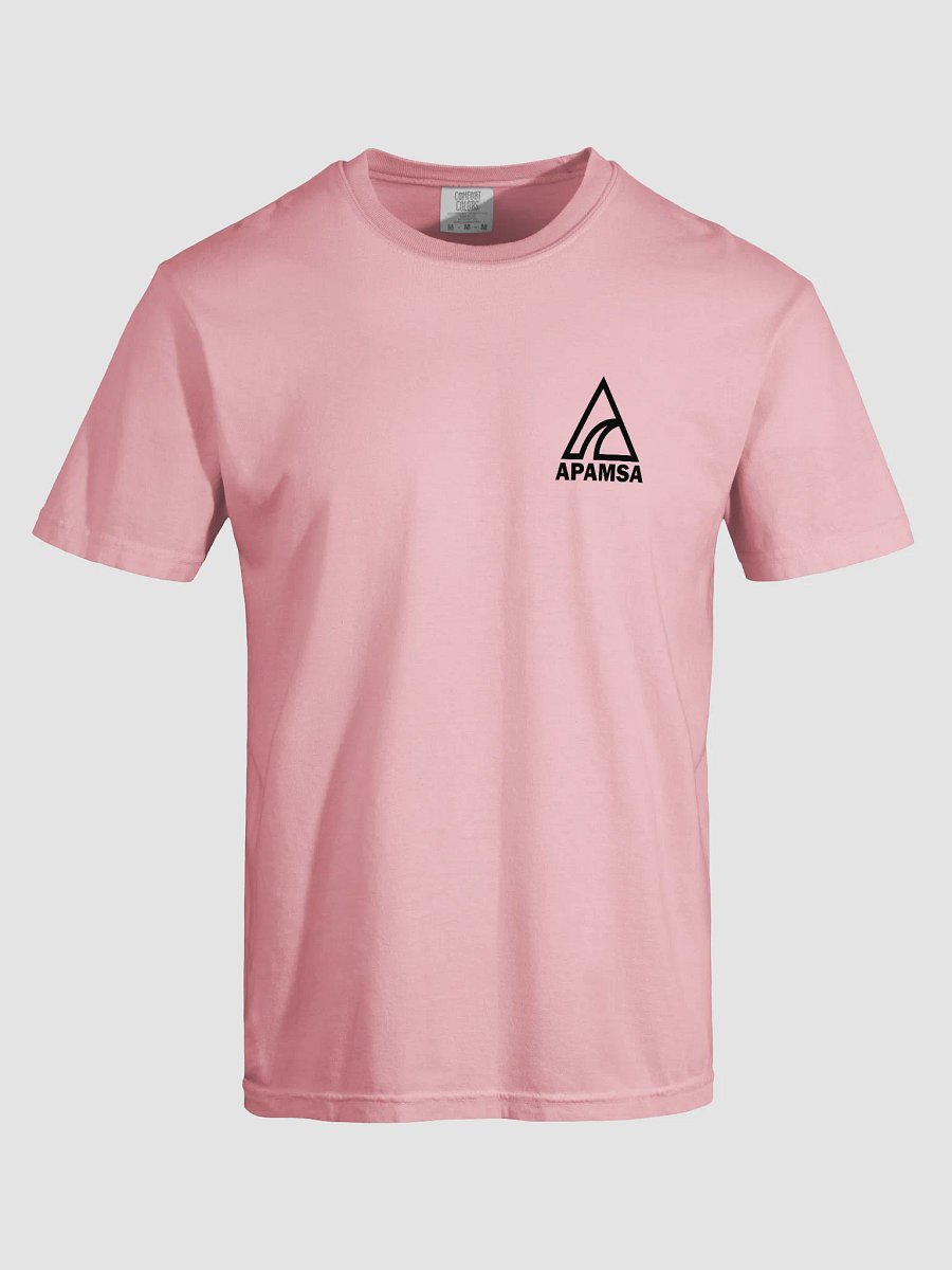 AANHPI Food T-Shirt (Limited Edition) product image (5)