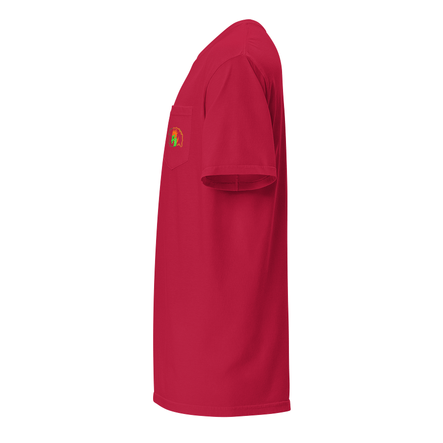 Dragon's Fury Pocket Tee product image (3)