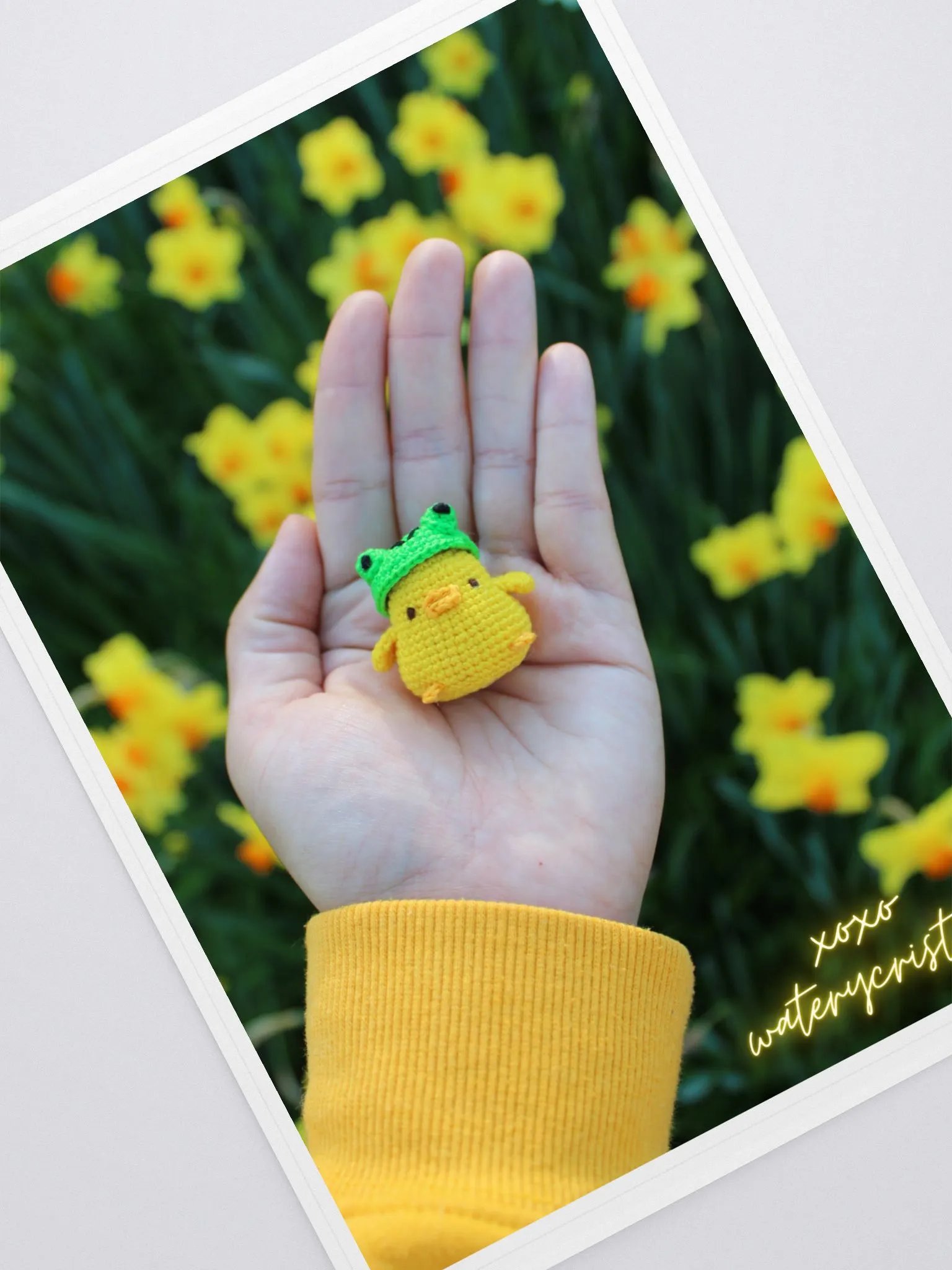 Spring Chicken Sticker product image (1)