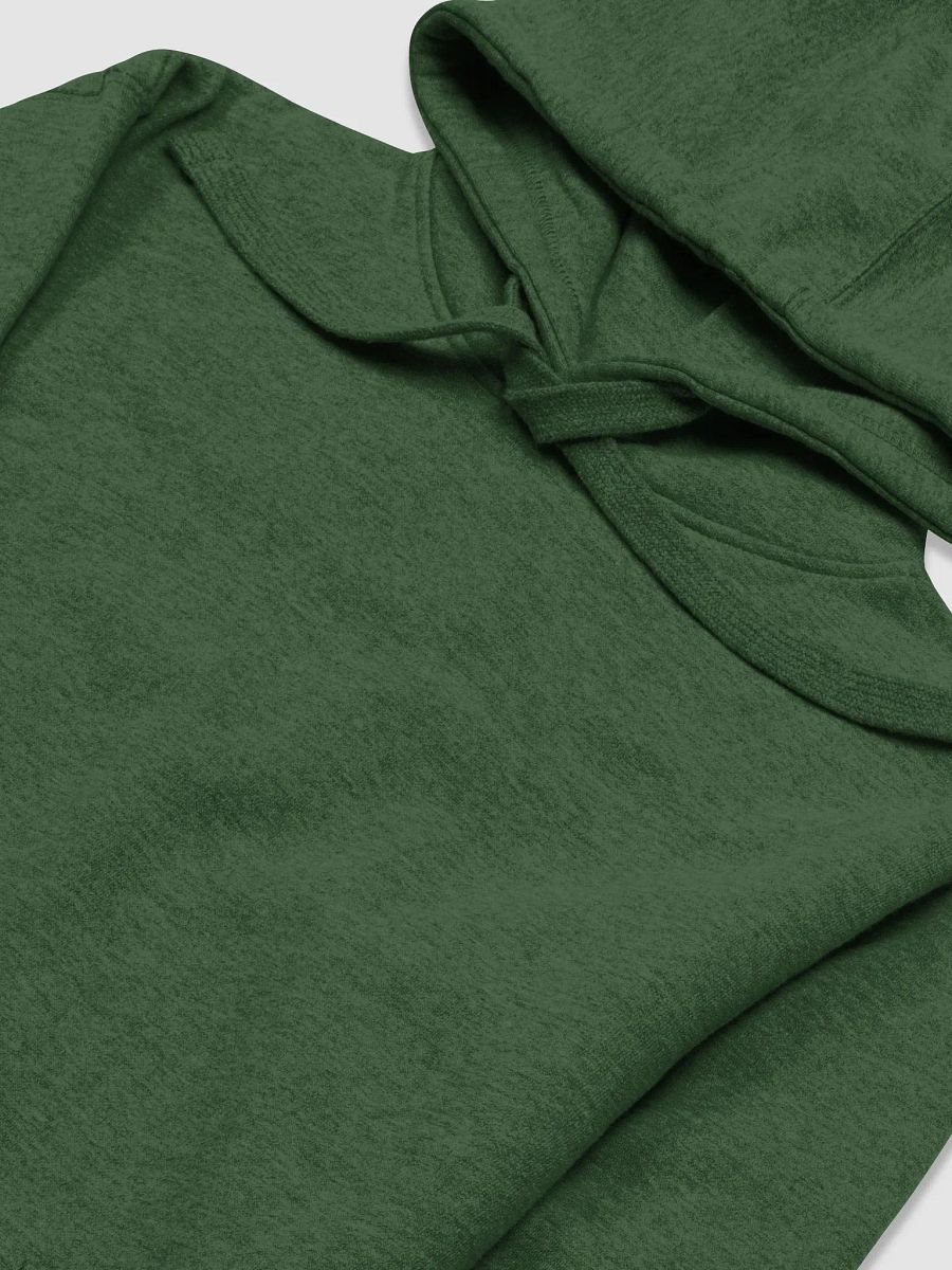 DTN Hoodie product image (15)