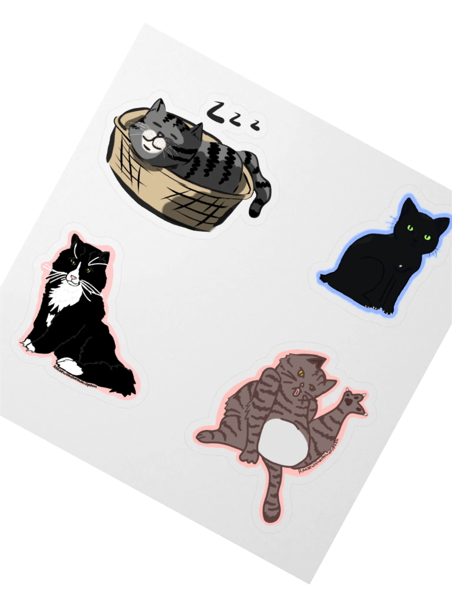 The cats product image (2)