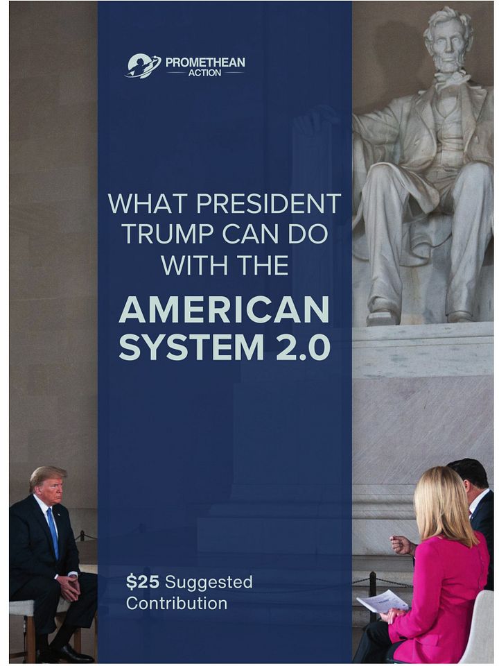 What President Trump Can Do With the American System 2.0 - Digital Edition (.epub) product image (1)
