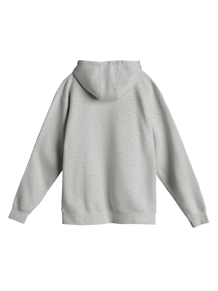 TWHS with Pioneers Hoodie product image (4)