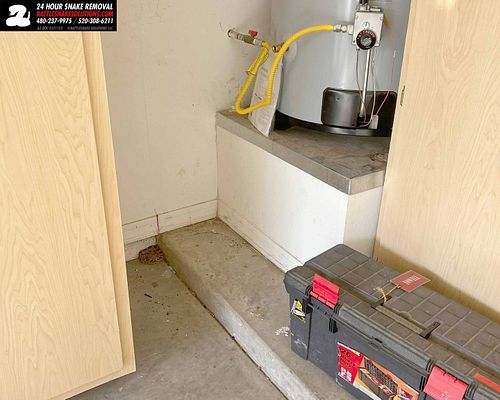 A north Phoenix homeowner saw this small Western Diamondback Rattlesnake crawl into the garage through a gap take a rest in t...