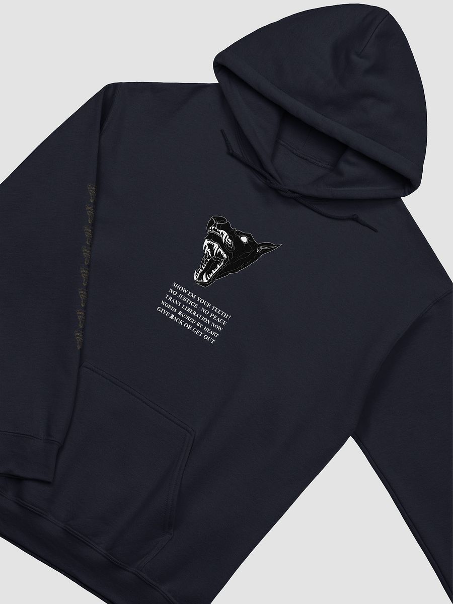 Show Em hoodie 2 product image (3)
