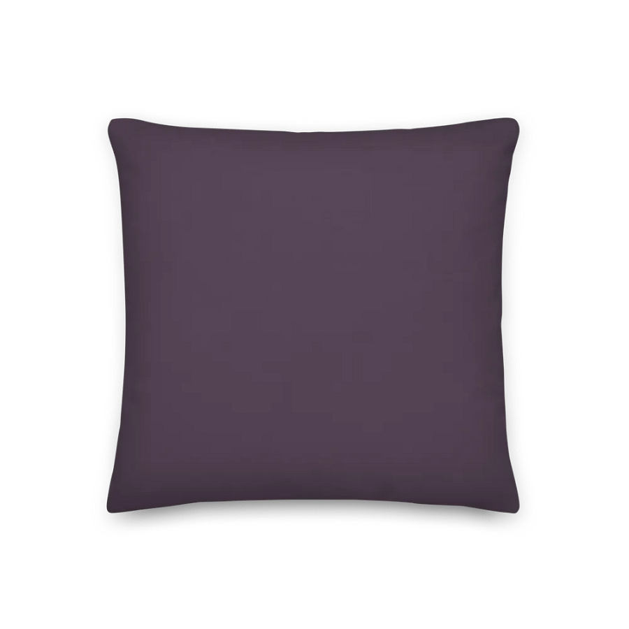 Funny Mom Pillow – “Thou Shalt Runneth On Cold Coffee & Leftovers” product image (3)