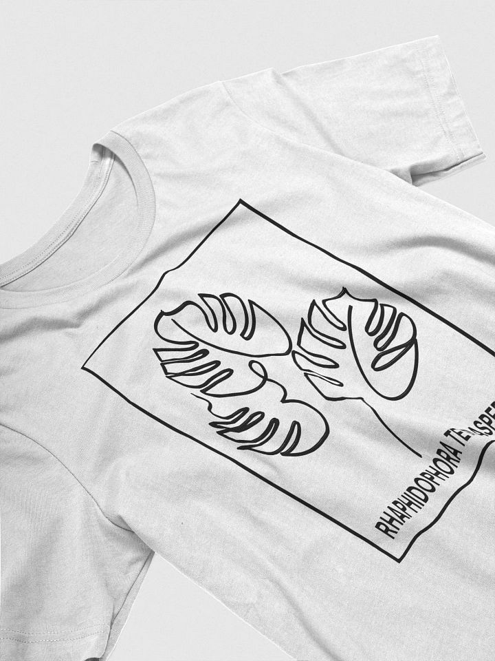 Mini monstera product image (2)