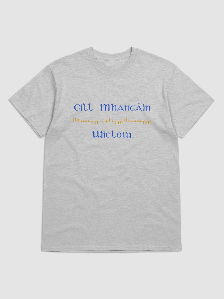 Wicklow/Cill Mhantáin Scholastic style Ogham printed T-shirt product image (61)
