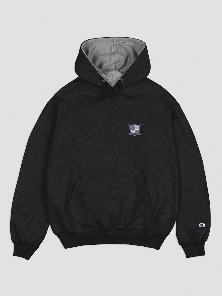 The Streaming Collective - Champion Cotton Max Hoodie product image (1)