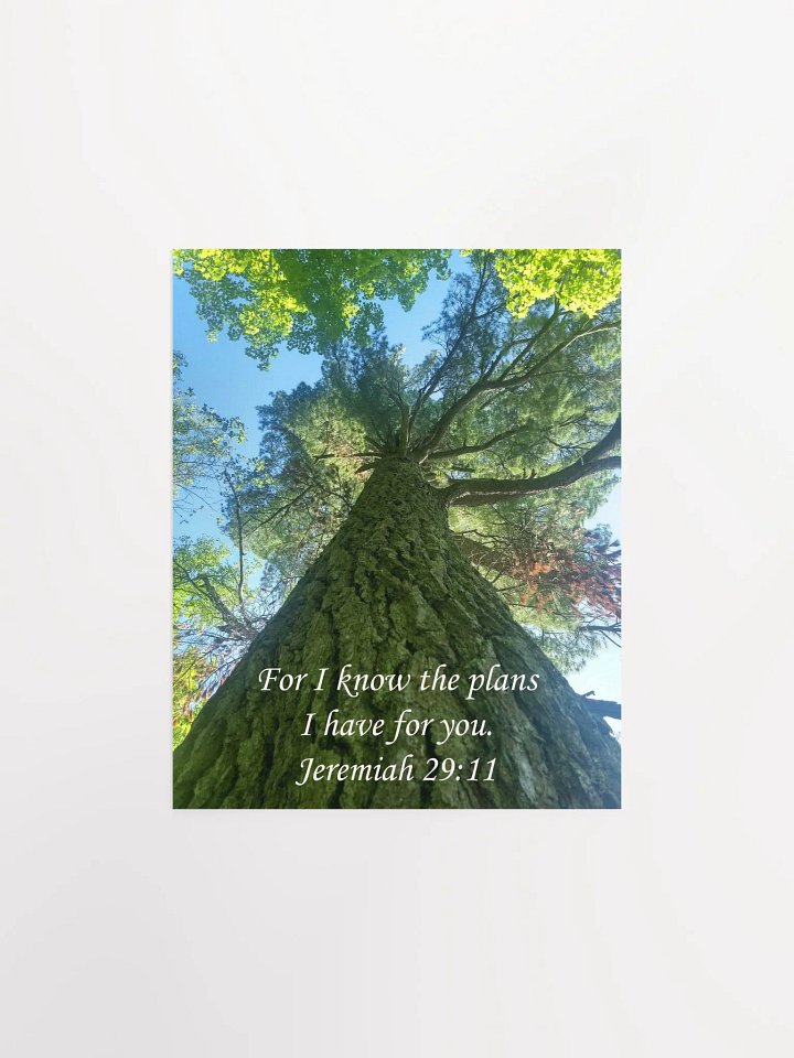 I Know the Plans - Print product image (1)