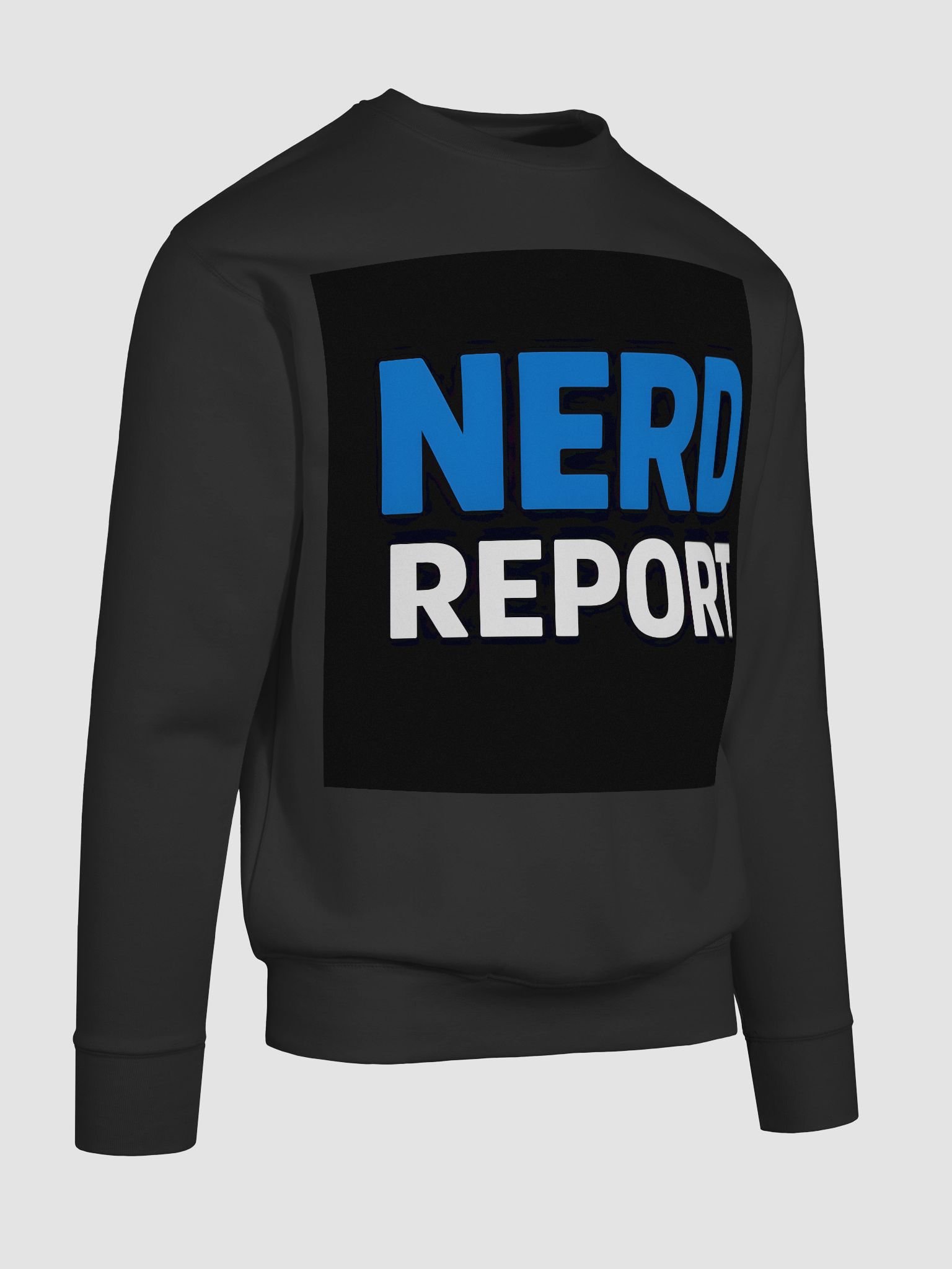 NERD REPORT Bold Block Sweatshirt product image (76)