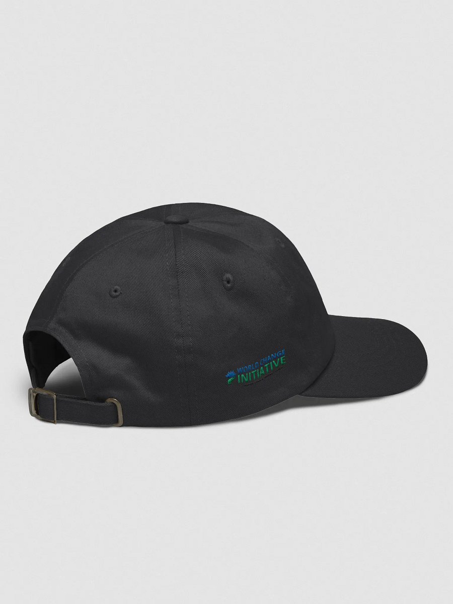 World Change Initiative Hat product image (2)