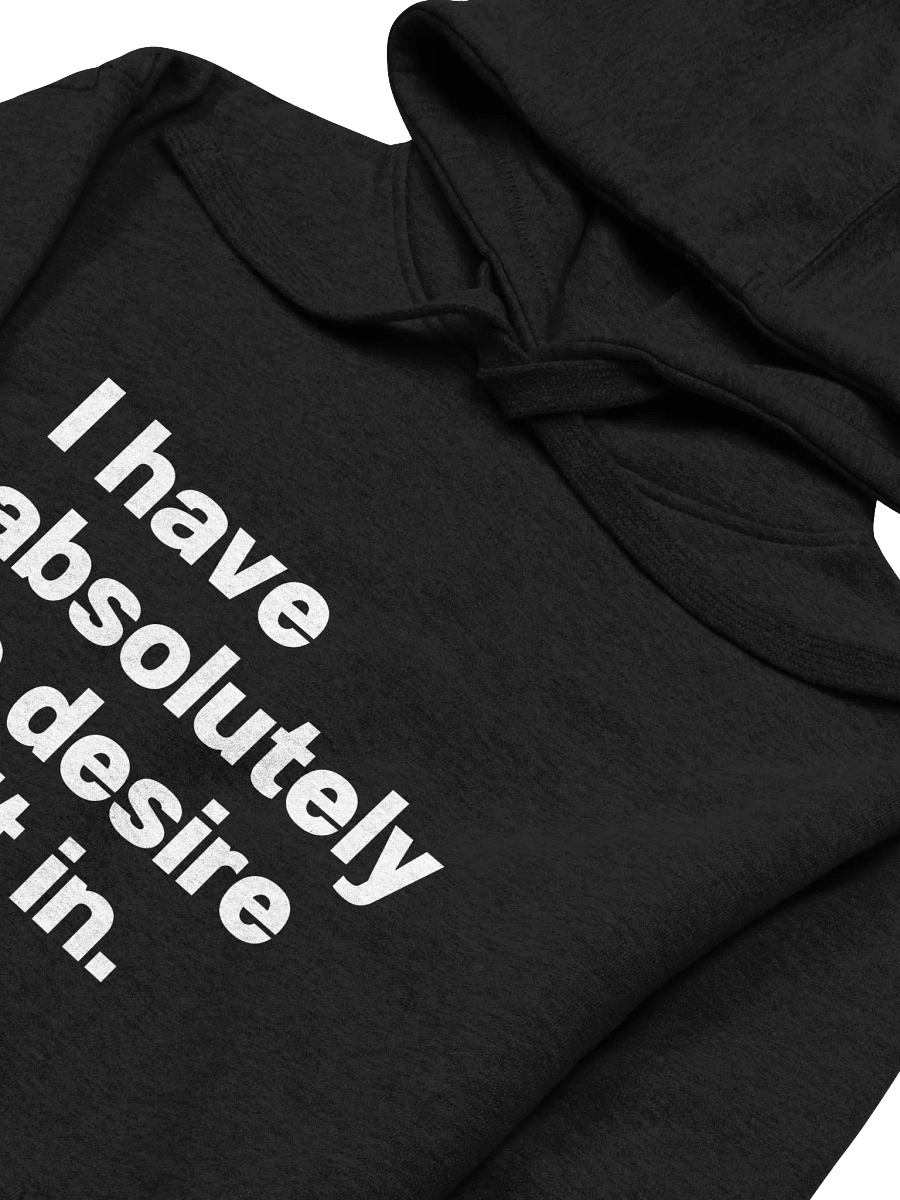 I have absolutely no desire to fit in. Unisex Hoodie product image (51)