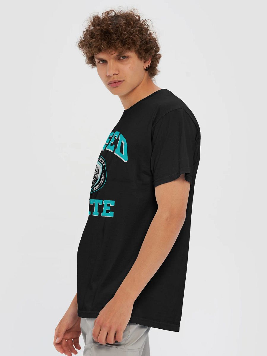 Based State Shirt product image (6)