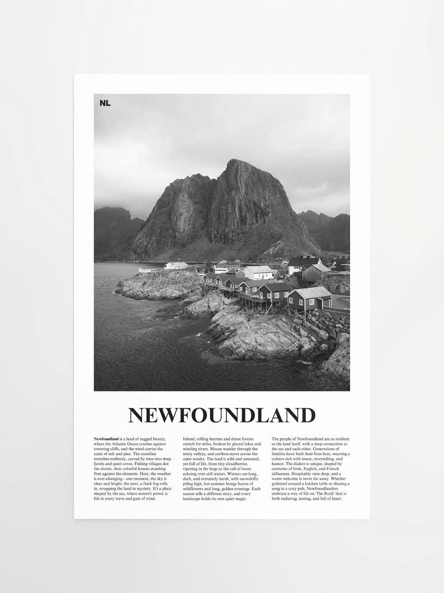 Newfoundland 02 Newspaper Poster product image (5)