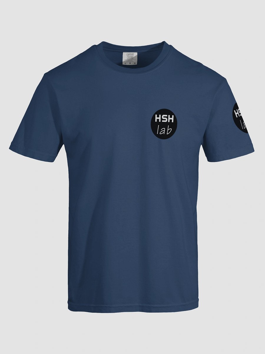 HSH-lab - Comfort Heavyweight T-Shirt (unisex) product image (5)