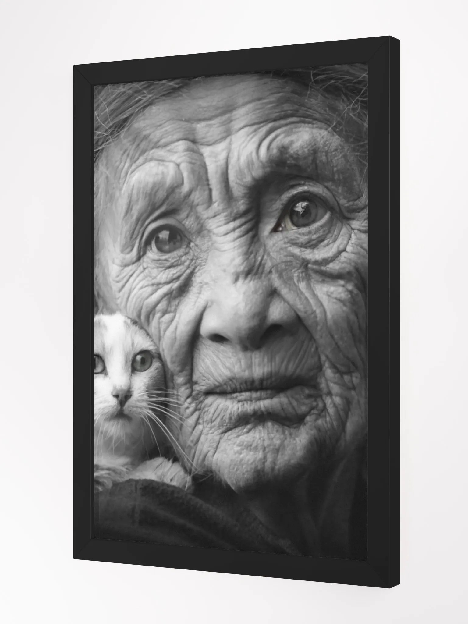 Timeless Grace: Wrinkles of Wisdom and the Warmth of Feline Companionship product image (6)