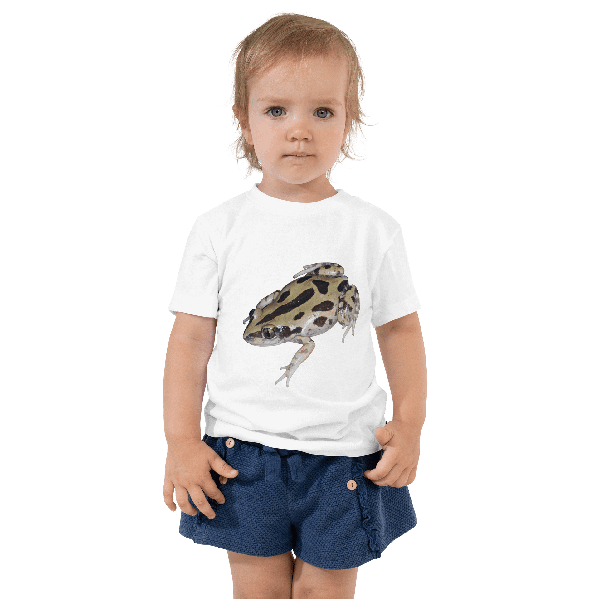 Bubbling Kassina Toddler Cotton T-Shirt -plain product image (4)