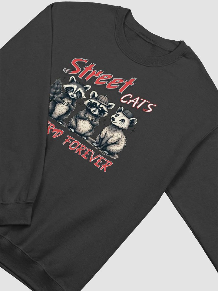 Street Cats Weird Forever Raccoon Crewneck product image (2)