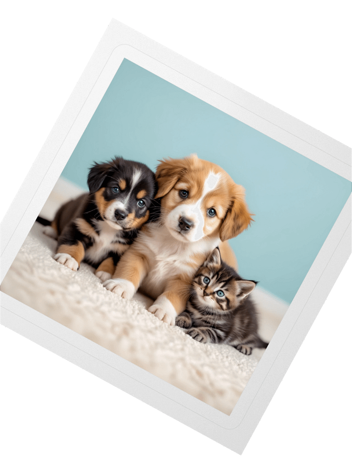 Paws and Whiskers - Kiss Cut Stickers Set product image (5)