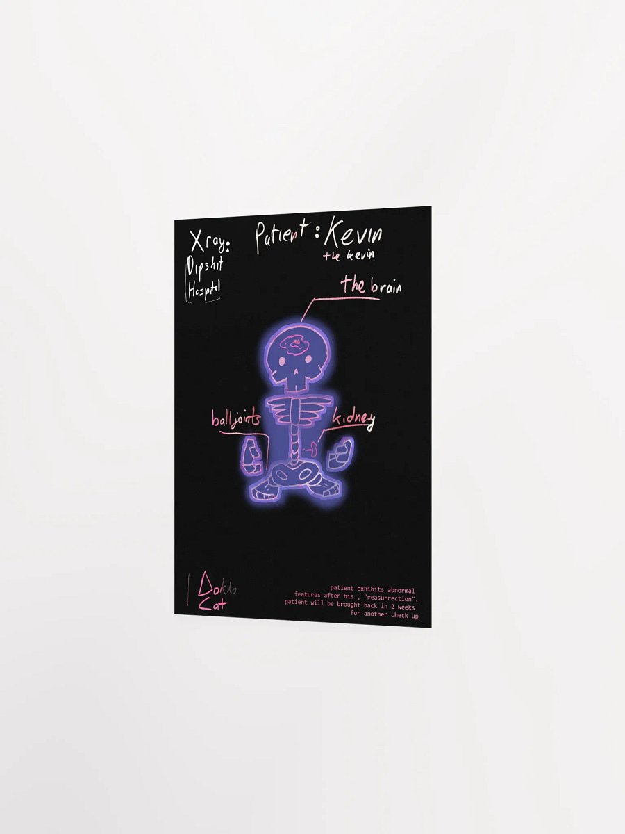 Kevin Anatomy poster product image (2)