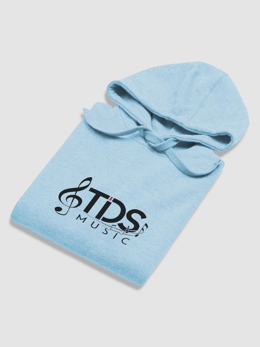 TDS Music Unisex Premium Hoodie - Exclusive Music Lover Design product image (6)