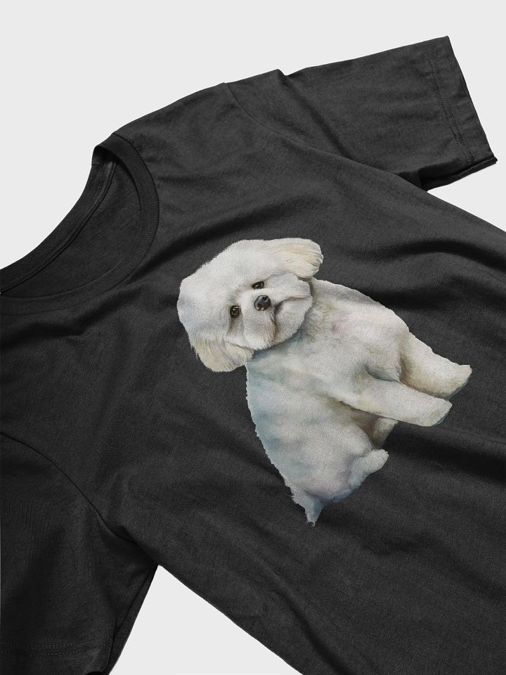 Bichon Frisé, product image (2)