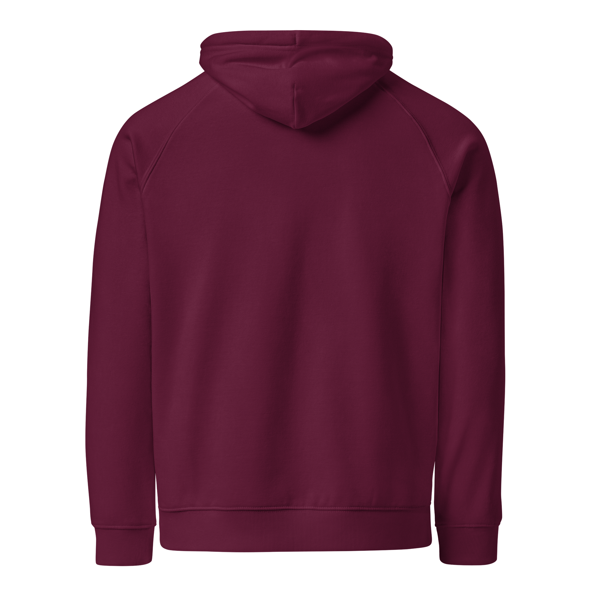 Bonsai Tree Eco Raglan Hoodie product image (4)